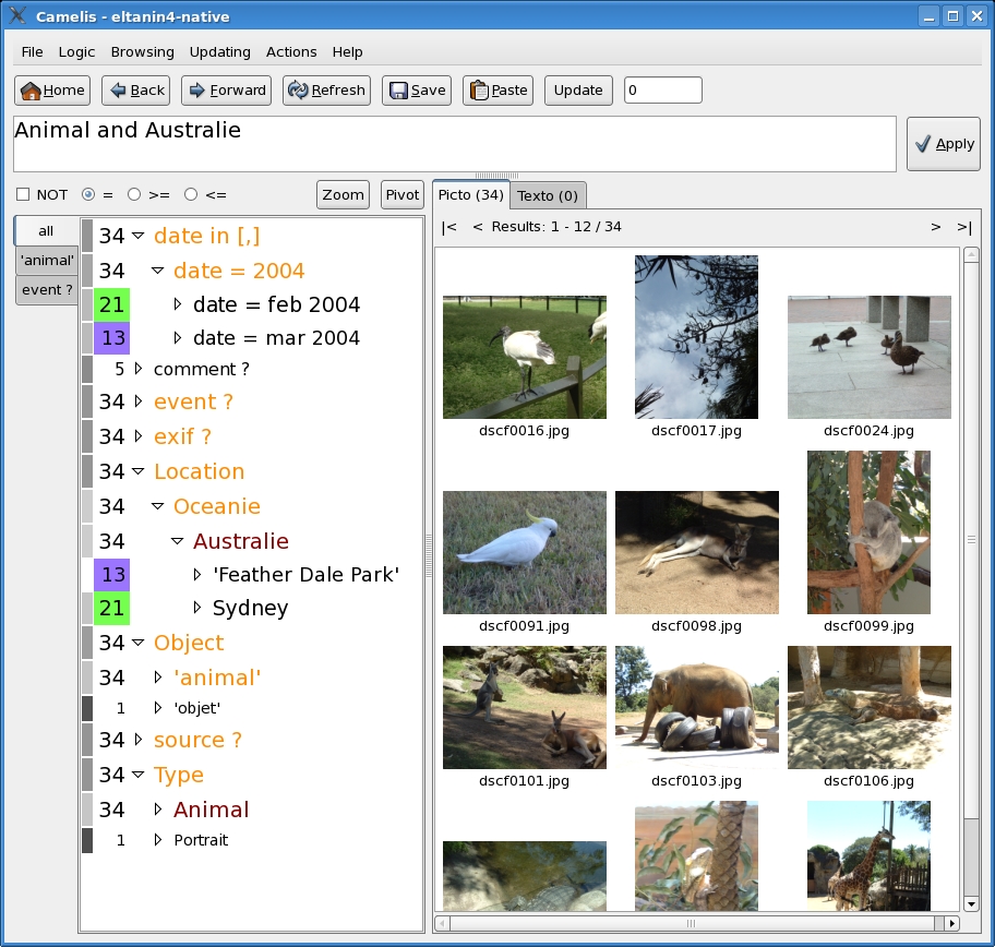 Screenshot of Camelis with pictures