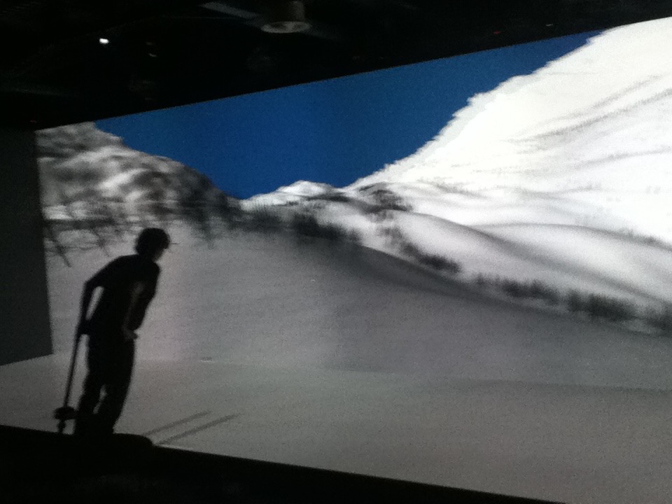 Ski simulation with the joyman device