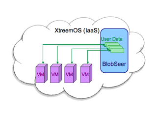 Using BlobSeer for sharing application data in a IaaS